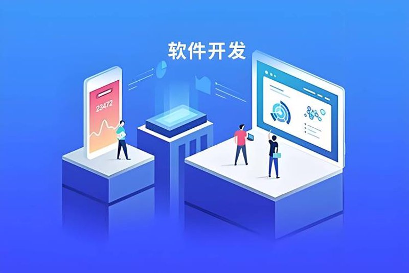 了解如何掌握定制软件开发的精髓