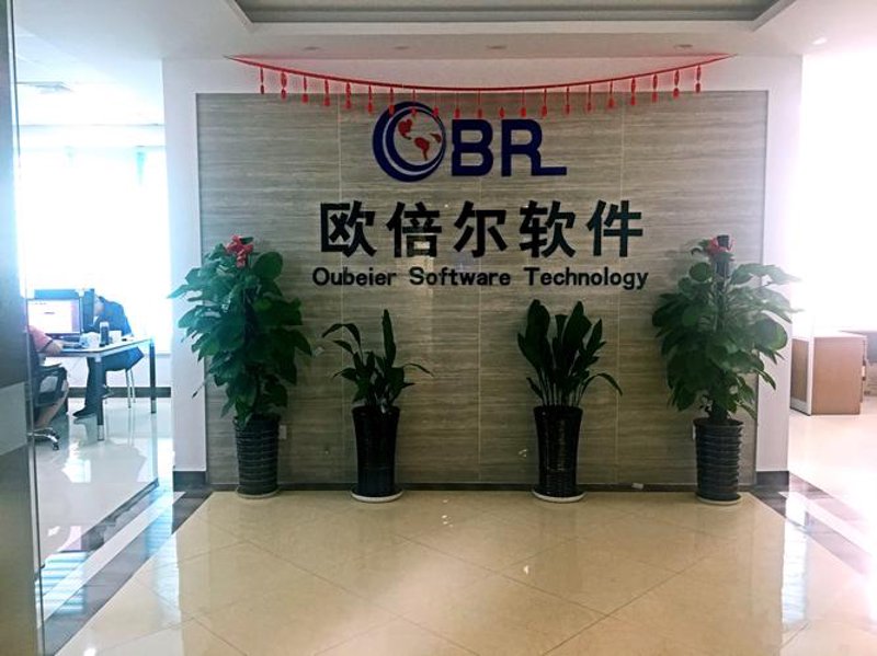 小程序开发：构建企业数字化转型的新引擎